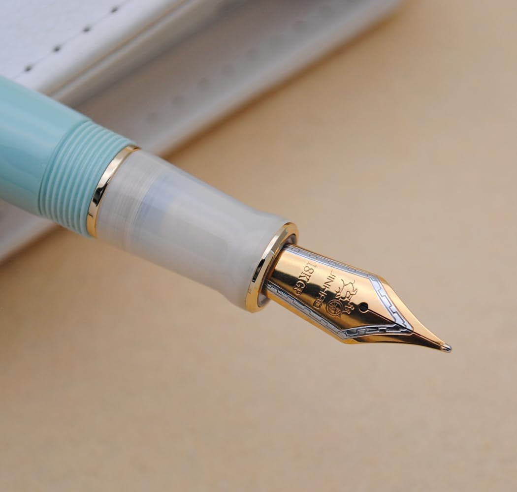 JINHAO 100 Fountain Pen with Ink Converter (Medium Nib 0.7mm, Light Green)