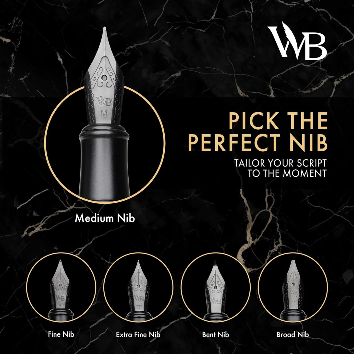 Wordsworth & Black Fountain Pen Set, Extra Fine Nib, Includes 24 Pack Ink Cartridges, Ink Refill Converter & Gift Box, Calligraphy, [All Black], Perfect for Men & Women