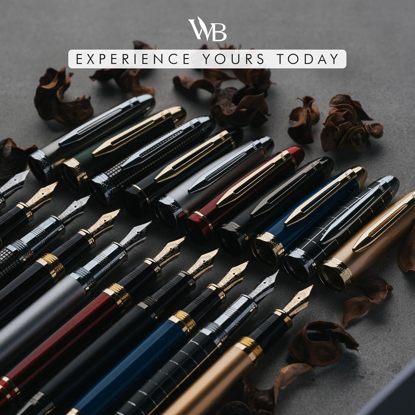 Wordsworth & Black Majesti Fountain Pen-(Black), Luxury Case, 24K Gold Finish; 18K Gilded Fine Nib-Ink Cartridges, Refillable Ink Converter-Calligraphy Pen-Best Business Gift Set for Men & Women
