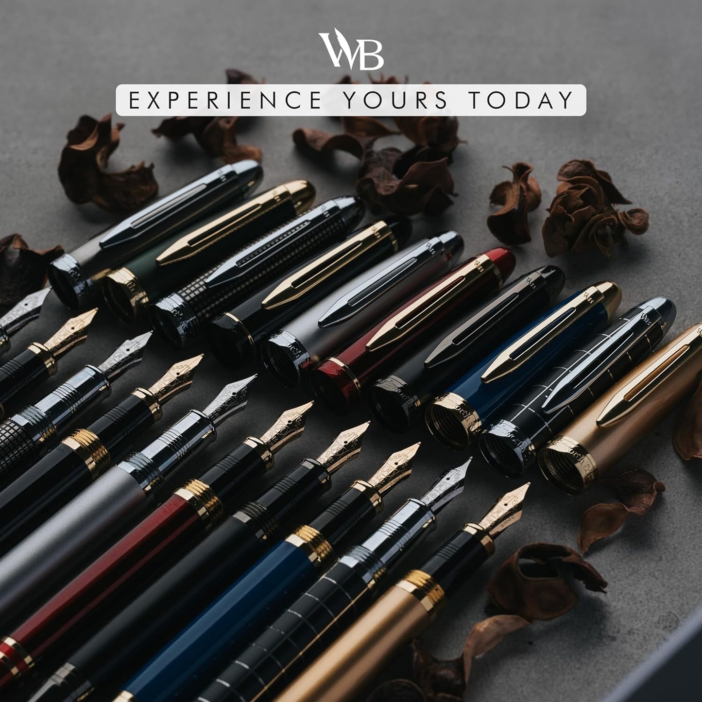 Wordsworth & Black Majesti Fountain Pen-(Checked), Luxury Case, Chrome Finish; Extra Fine Nib- Ink Cartridges, Refillable Ink Converter-Calligraphy Pen-Best Business Gift Set for Men & Women